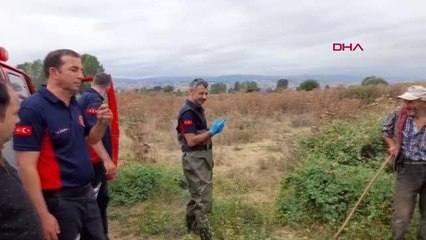 BALÇIĞA SAPLANAN İNEĞİ İTFAİYE KURTARDI