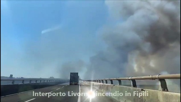 Incendio in Fipili, fumo sulla strada. Le fiamme bruciano la vegetazione