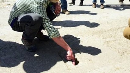 These Mysterious and Ancient ‘Ghost Footprints’ Only Reveal Themselves in the Rain