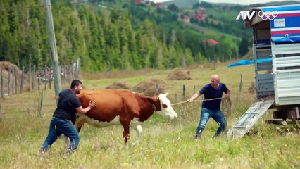 Estrella de Amor - Capitulo 1 - Audio Español | Kuzey Yıldızı
