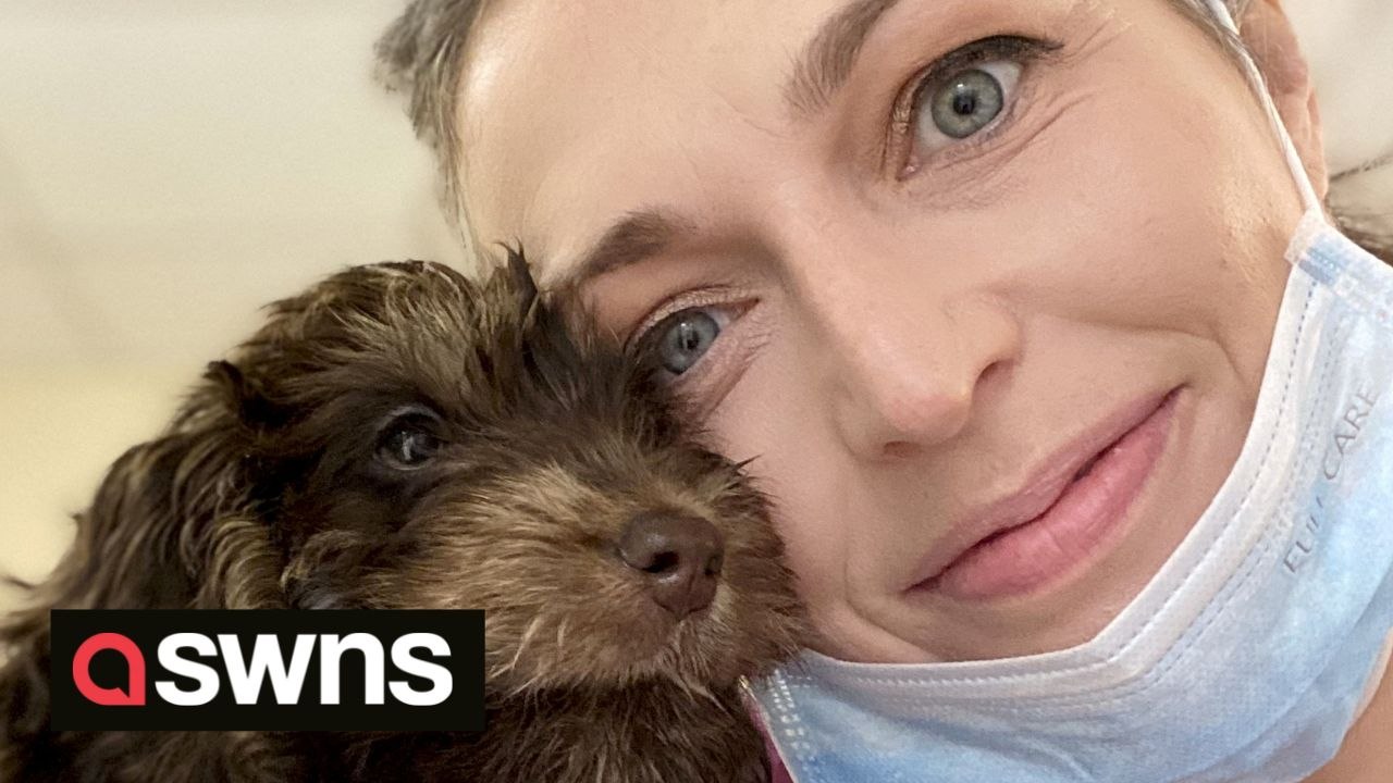 UK vet divides opinions after sharing dog tips including never throwing them a stick and never feeding them raw food