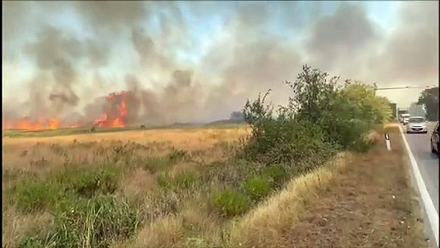 Incendio in Fipili: le fiamme divorano le sterpaglie, fumo ovunque