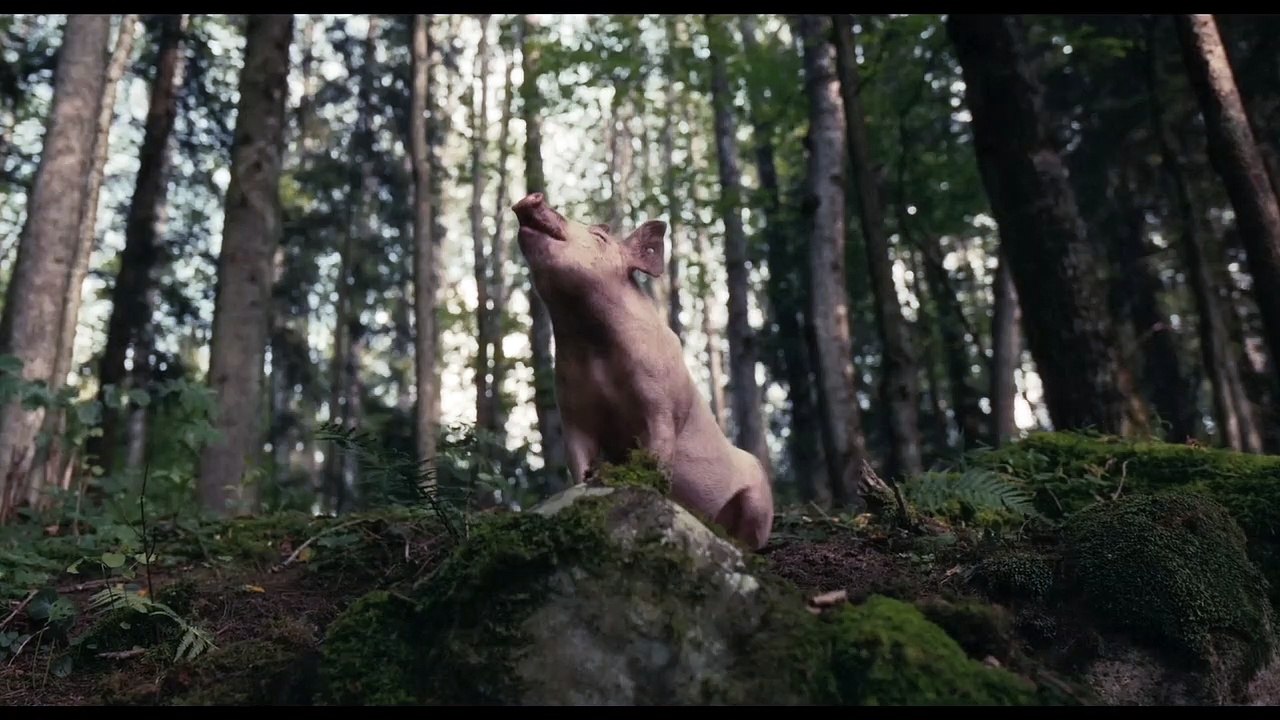 Squeal Trailer