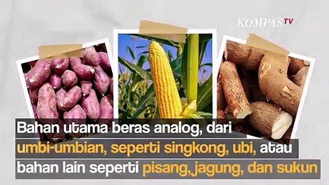 Mengenal Beras Analog, Makanan Pokok Alternatif Selain Beras Padi