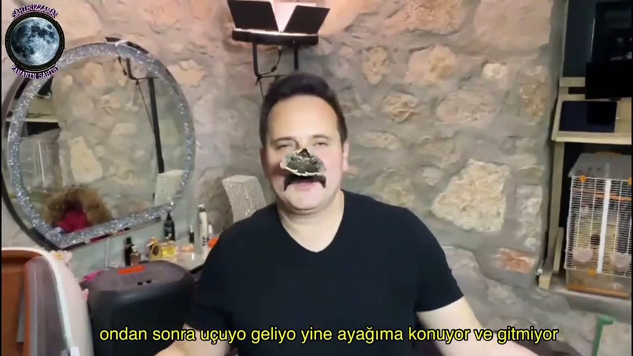 Kartonpiyer mehdisi