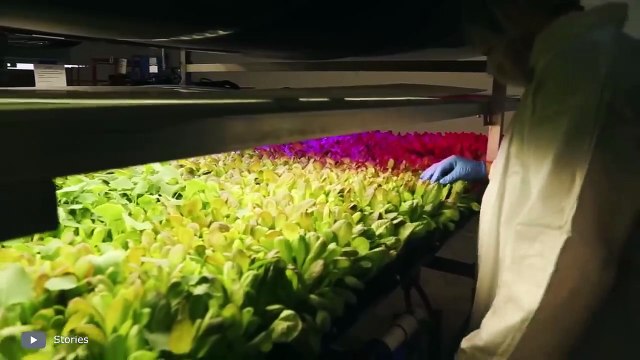 Modern Production Processes That Will Send Shivers Down Your Spine