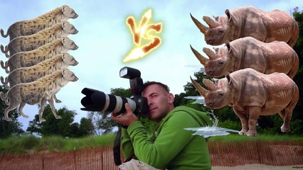 When Rhino Messed With The Wrong Opponent