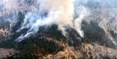 Son dakika haberleri... Mersin'deki orman yangınına müdahale ediliyor