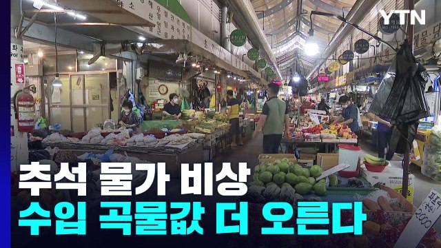 채솟값 폭등에 수입 곡물 더 오른다...추석 물가 비상 / YTN