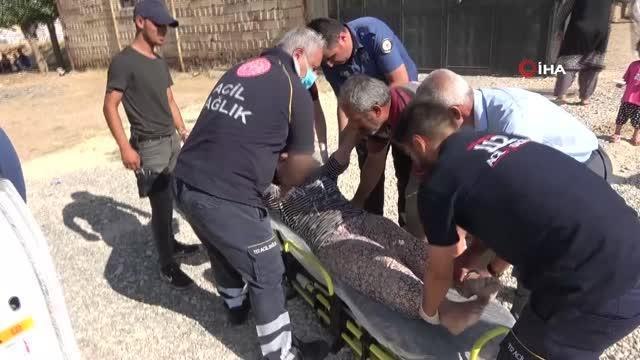 Taşla eşinin kafasına vurarak yaraladıKoca şiddetine maruz kalan kadın hastaneye kaldırıldı