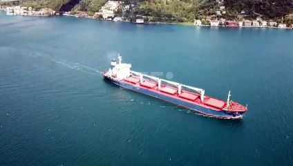 El buque con cereales ucranianos sigue viaje al Líbano tras ser inspeccionado