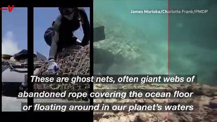 Divers Clean Up Nearly 100,000 Pounds of ‘Ghost Nets’ From the Waters Surrounding Hawaii
