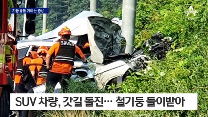 철기둥 들이받아 납작…뒷자리 아기 구한 카시트