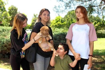 Bursa haberleri | Nilüfer'de can dostlar yeni sahiplerini bekliyor