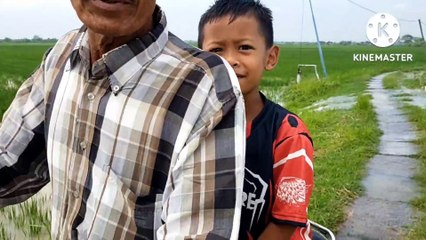 SAWANYA KEBANJIRAN LUR