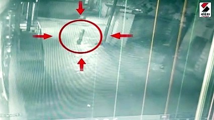 કોડીનારના સિંધાજ ગામે સિંહોએ ધામા નાખ્યા