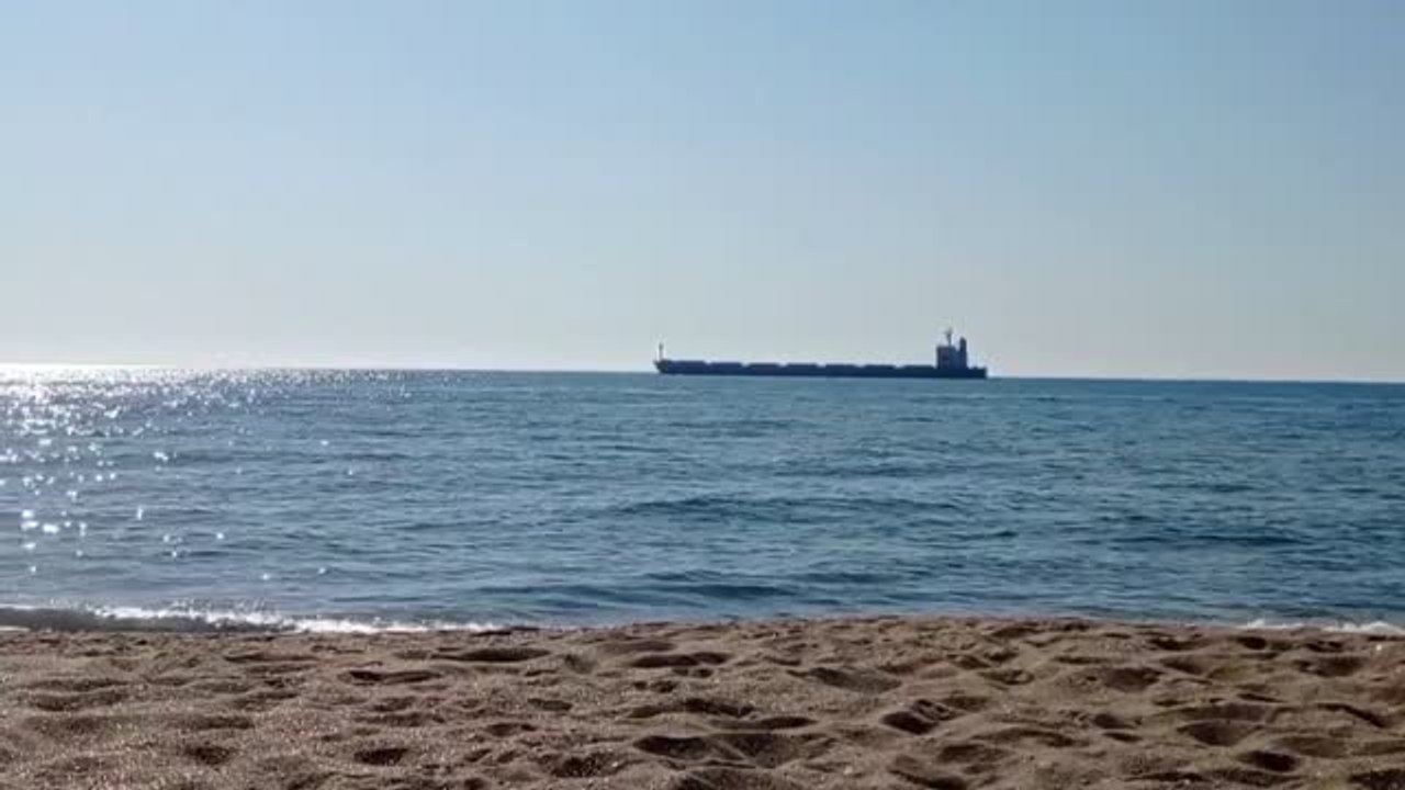 Cuatro nuevos buques de carga parten de Ucrania cargados de cereales