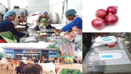 दुर्ग: गौठान की महिला समूह ने बनाया प्याज के पल्प वाला सेनेटरी पैड, पीरियड्स में रखेगा एनर्जेटिक