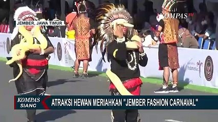 Download Video: Aksi Anjing Pelacak Meriahkan Atraksi Hewan di Jember Fashion Carnaval 2022