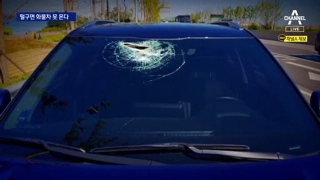 ‘판스프링’ 사고 잇따라…떨구기만 해도 2년 트럭 못 몬다