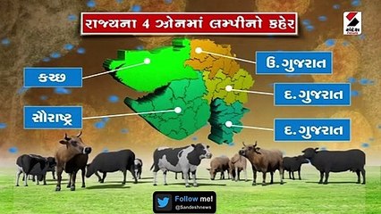 67 હજારથી વધુ પશુઓ બન્યા લમ્પી વાયરસનો ભોગ