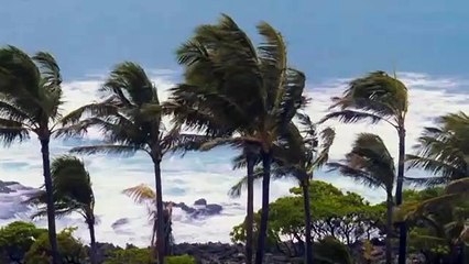 El asesinato de John Lennon en español completa