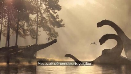 İyi Parti Ankapark İçin 'Dinozorlar' Videosu Hazırladı: "Günümüz Dinozorları Meteorla Değil Sandıkla Gidecekler"