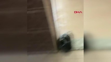 MERDİVEN ALTI ÜRETİLEN MİDYELERE EL KONULDU