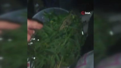 Elazığ haberi: Elazığ'da varil içerisine zulalanmış kenevir ele geçirildi