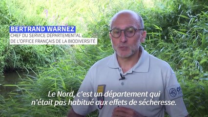 Sécheresse: dans le Nord, restrictions inédites et pommes de terre assoiffées