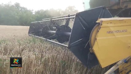 tn7-sala-constitucional-tramita-recurso-de-amparo-contra-consulta-publica-030822