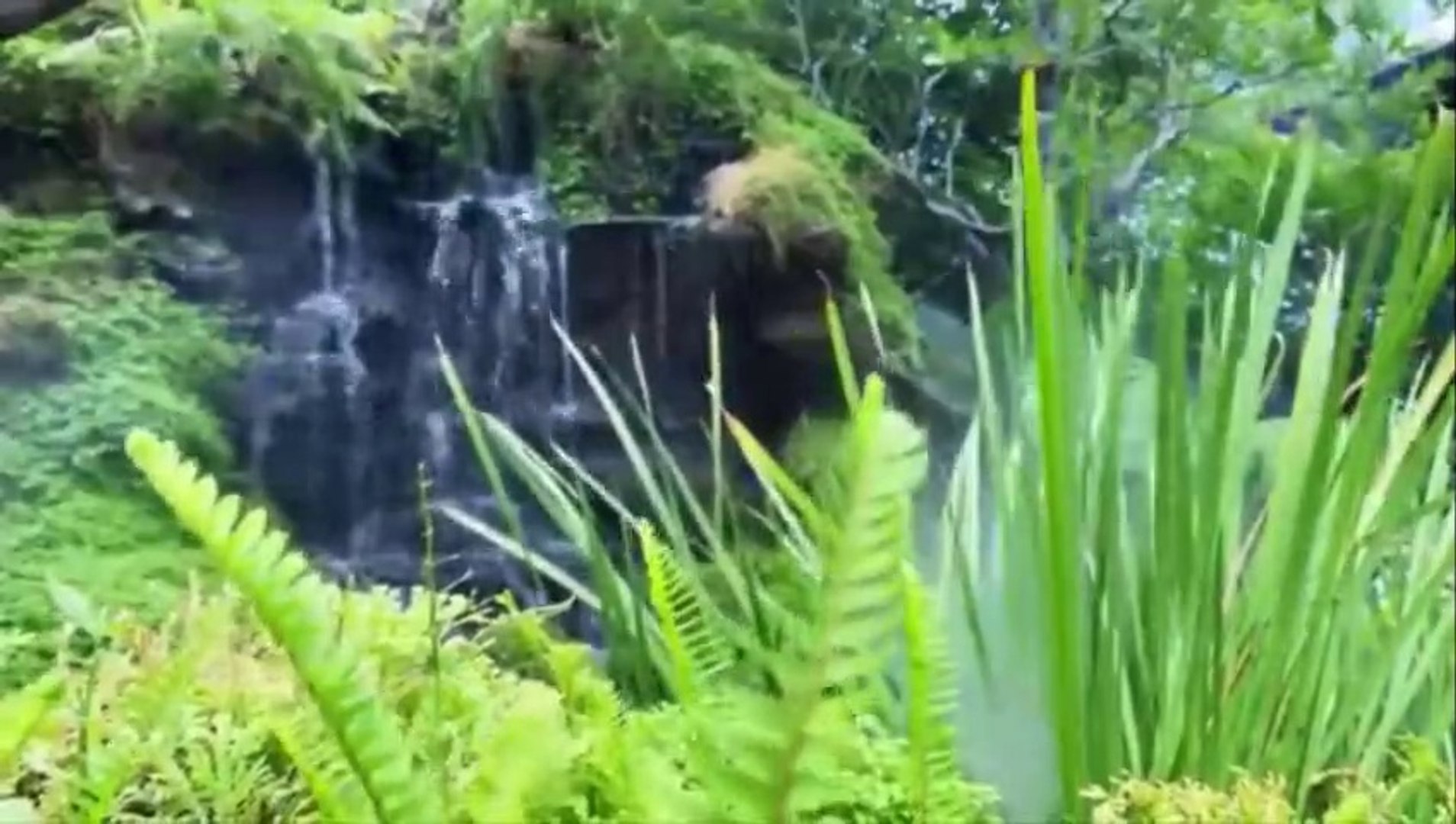 Soft Piano Music - Soft Melody Music, Lullaby Music, Stress Relaxing Music