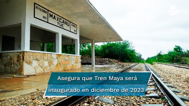 Fonatur anuncia revocación de tres suspensiones definitivas al tramo 5 del Tren Maya