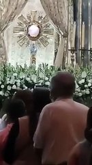 Hostia consagrada empieza a latir como un corazón
