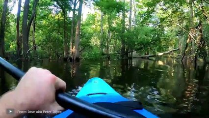 Scariest Crocodile Encounters You Should Avoid Watching