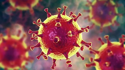 Sub variante ba.5, sigue siendo la principal causa de las infecciones de COVID-19