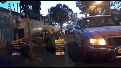 Defesa Civil é acionada para conter enxame de abelha no Centro de Cascavel