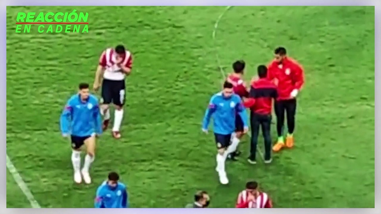 Chicharito Hernández niega autografo a niño - Reacción en Cadena