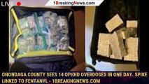 Onondaga County sees 14 opioid overdoses in one day. Spike linked to fentanyl - 1breakingnews.com