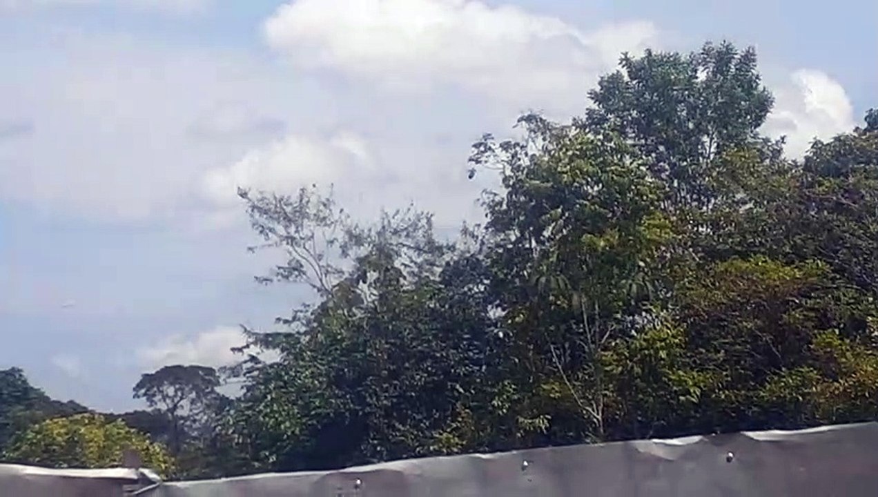 Boeing 777-300ER PT-MUB on final approach coming from Guarulhos to Manaus
