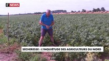 Sécheresse : l'inquiétude des agriculteurs du Nord privés d'eau