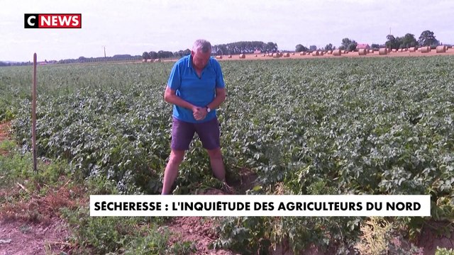 Sécheresse : l'inquiétude des agriculteurs du Nord privés d'eau