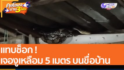 แทบช็อก เจองูเหลือม 5 เมตร บนขื่อบ้าน  (3 ส.ค. 65) คุยโขมงบ่าย 3 โมง