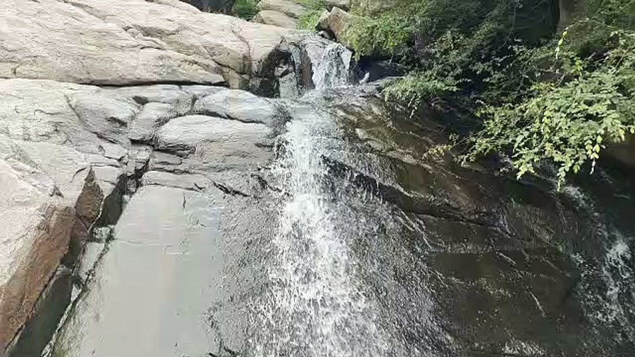 राजस्थान के 14 जिलों में आज भारी बारिश का अलर्ट...