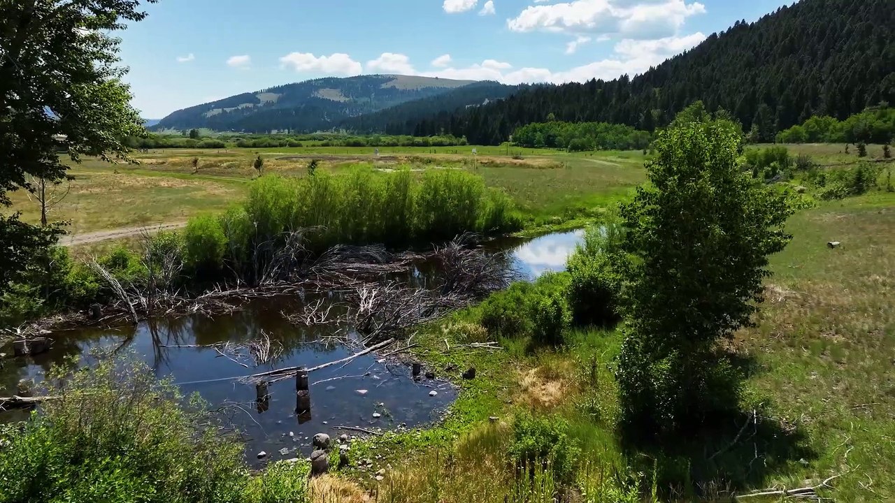 Montana Campground and Retreat Site for Sale | 23± Acres in Avon, Montana