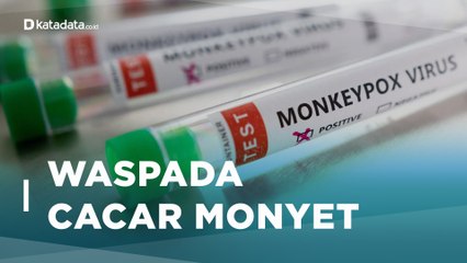 1 Kasus Suspek Ada di Jateng, Ini Gejala dan Pencegahan Cacar Monyet | Katadata Indonesia