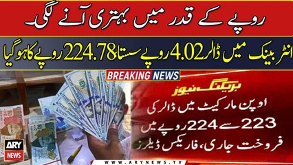 US dollar’s free fall against rupee continues