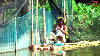 Best hook fishing video - Traditional hook fishing video in river By Banana Tree