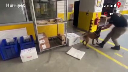 Kargoyla İngiltere’ye uyuşturucu sevkiyatına polis engeli
