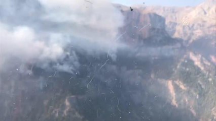 Son dakika haberi... Orman yangınına havadan müdahale sabah saatlerinde yeniden başlatıldı